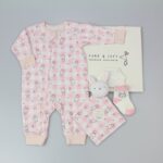 Baby Gift Set – Pink Bunny